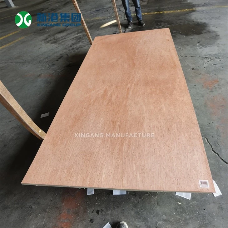 3.6mm 5.2mm Thin Bintangor Plywood For Furniture Back Panel And Packing Box high quality