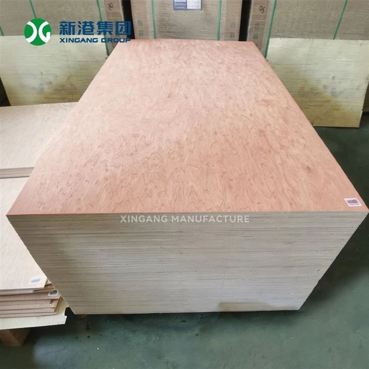 3.6mm 5.2mm Thin Bintangor Plywood For Furniture Back Panel And Packing Box factory