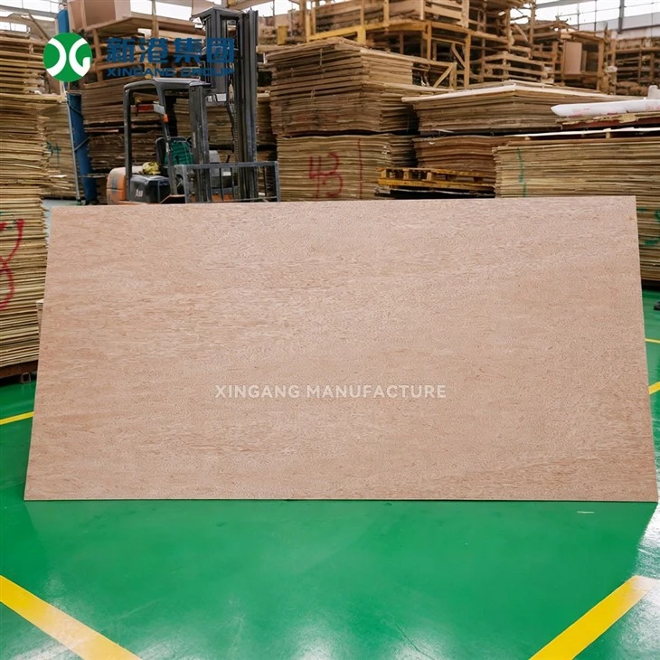 3.6mm 5.2mm Thin Bintangor Plywood For Furniture Back Panel And Packing Box suppliers
