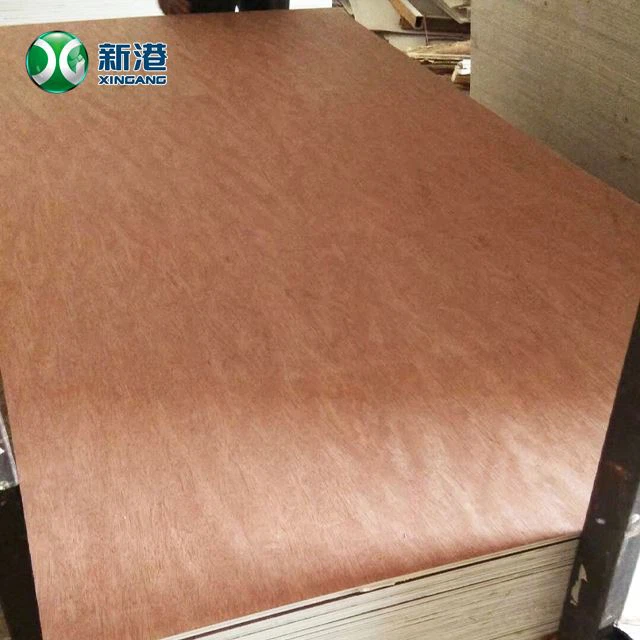 Various Thickness Bintangor Plywood For Packing