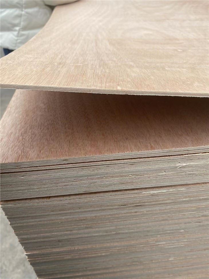 Sraithadhmad TRÁCHTÁLA XINGANG POPLAR CROÍRÁID FUITIÚIL