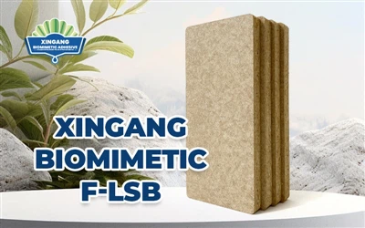 Xingang Bithmhiméadach F-LSB