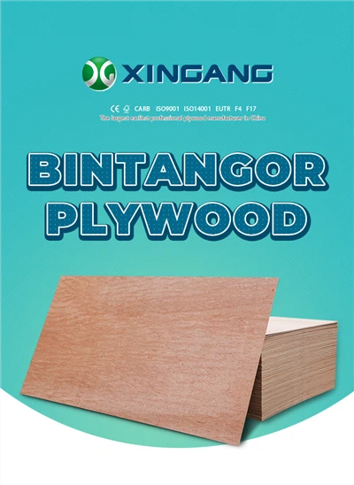 EcoGuard Premium BuildMaster Sraithadhmad Tráchtála CRUA